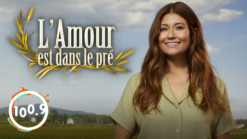 Musiques De L'amour Est Dans Le Pré