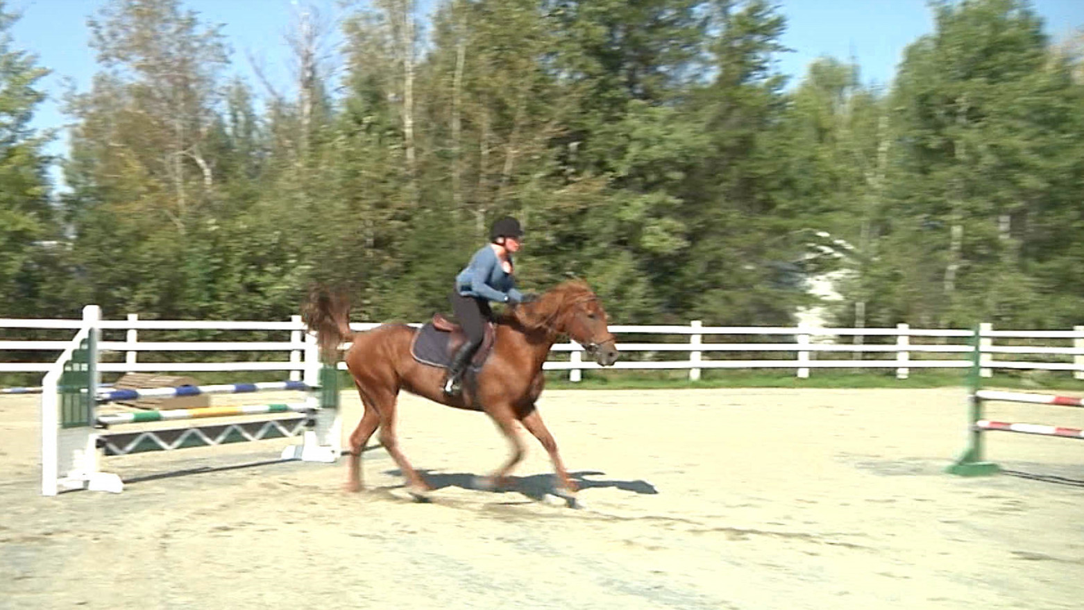 La région bien représentée aux Jeux